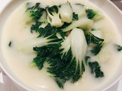 白菜仔-东富酒家(龙湖西溪天街店)