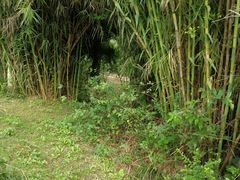 -白鹭湾湿地公园