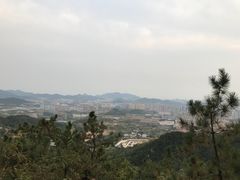 -竹子庵公园