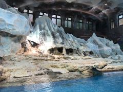 -帝企鹅自助餐厅•儿童岛•真企鹅(长隆企鹅酒店)