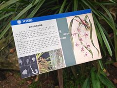-中国科学院西双版纳热带植物园