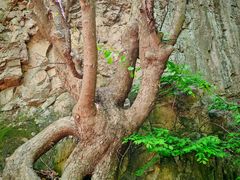 -雾灵西峰