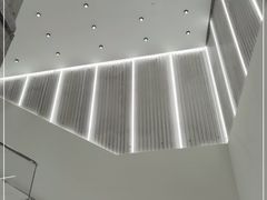 -ZARA(大上海时代广场店)