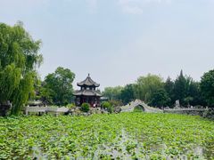-莲池书院博物馆
