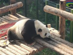 -大连森林动物园