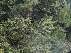 -苍山感通索道
