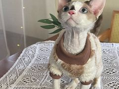 -时间逆·烘焙