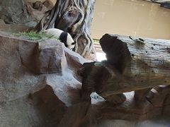 -宁波野生动物园
