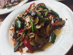 -翕庐小苑
