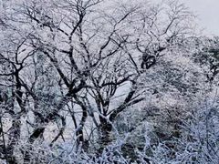 -梵净山旅游区