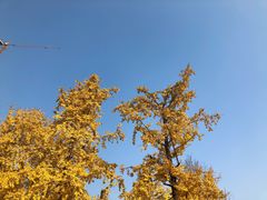 -两江幸福广场