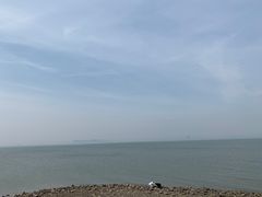 -天津妈祖文化园