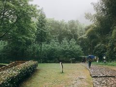 -仙霞关景区