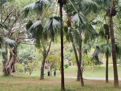 -南宁南湖公园