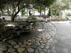 -成都市活水公园