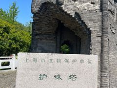 -上海佘山国家森林公园天马山园