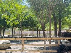 -水上乐园·欢乐世界