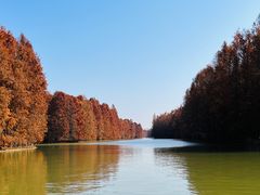 -上海海湾国家森林公园