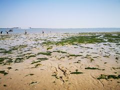 -北海金海湾红树林生态旅游区