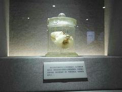 -唐山抗震纪念馆