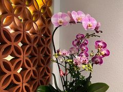 -沐森 •疗愈头疗馆(打浦桥店)
