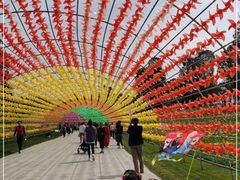 -秀丽东方