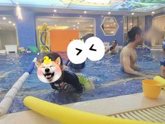 -戊辰亲子游泳俱乐部