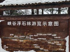 -峡谷浮石林景区