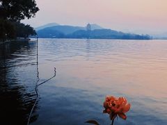 -柳莺湖上·湖景餐厅·江南菜(西湖店)