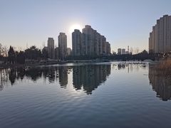-前关湿地公园