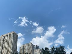 -金香匯晚茶(浑南店)