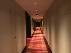 -上海龙之梦万丽酒店