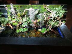 -希望齿科(河西店)