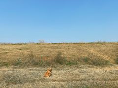 -盘龙城国家考古遗址公园