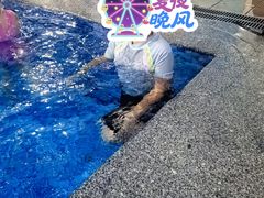 -奥龙堡游泳馆(广纸店)