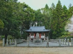 -醍醐寺