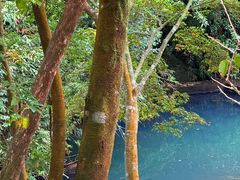 -广州市石门国家森林公园