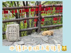 -司马台长城