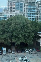 -生命加•Q考拉月子会所(玫瑰园店)