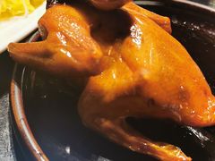 红烧乳鸽-大鸽饭(北京路店)