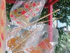 -南湖梦幻岛