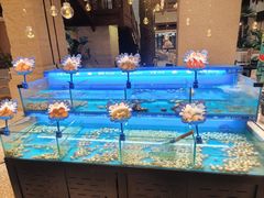 -太湖饭店玉兰厅(自助餐厅)