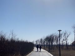 -东堤公园