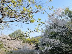-中国茶叶博物馆(双峰馆区)