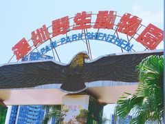 -深圳野生动物园
