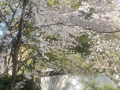 -苏州上方山国家森林公园