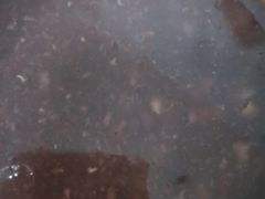 -九毛九西北菜(大东海店)