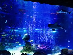 -沈阳海洋探索中心