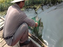 -阳澄湖大闸蟹·琼灵阁牌品牌连锁(吴中总店)