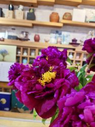 -今日陶艺(富力广场店)